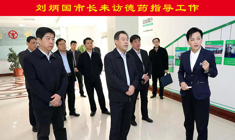 刘炳国市长来访德药指导工作