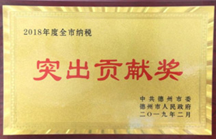 德州德药制药有限公司